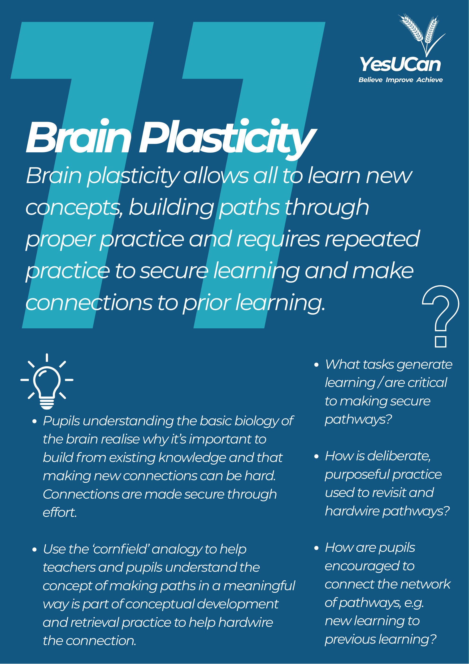 Brain Plasticity poster